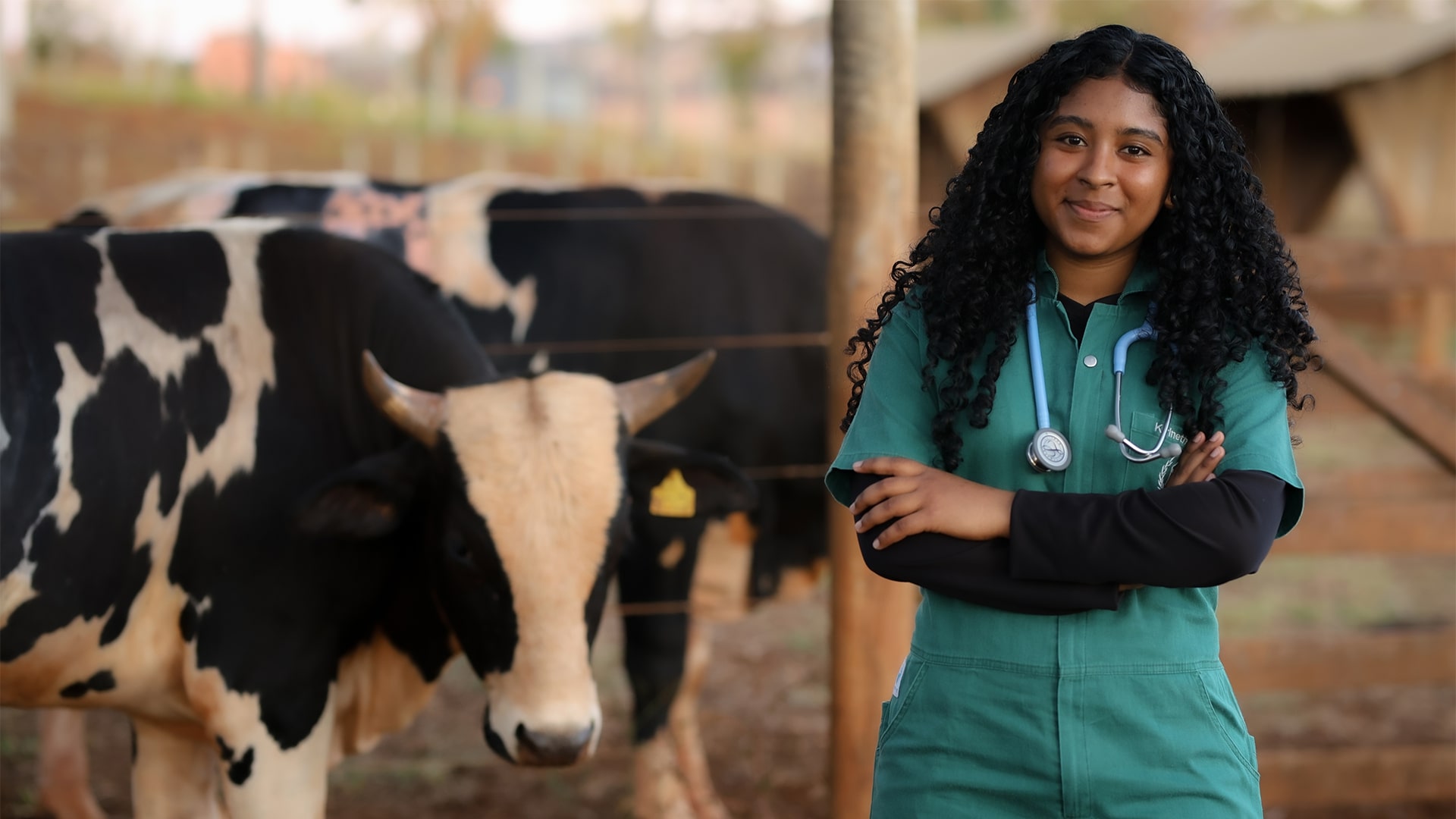 Medicina Veterinária